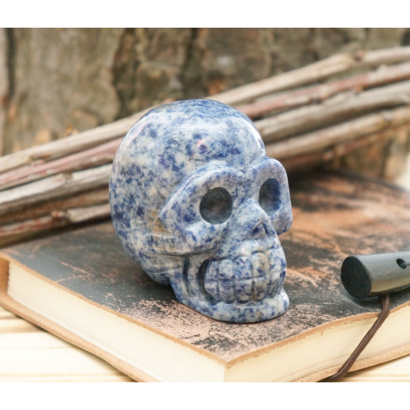 Череп кам“яний із Содаліта