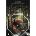 Карти Руни: Путівник тварин - Animal Guide Rune Cards. Blue Angel