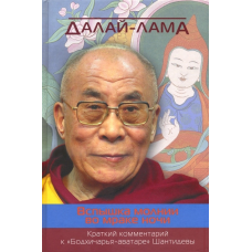 Спалах блискавки в темряві ночі. Короткий коментар до “Бодхічаря-аватари“ Шантидєви. Далай-лама XIV