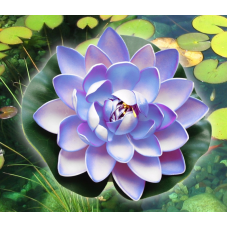 Декоративний Лотос Блакитний великий