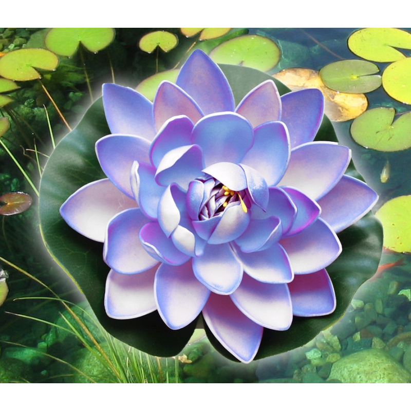 Декоративний Лотос Блакитний великий