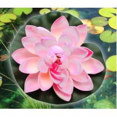 Декоративний Лотос Світло - Рожевий великий