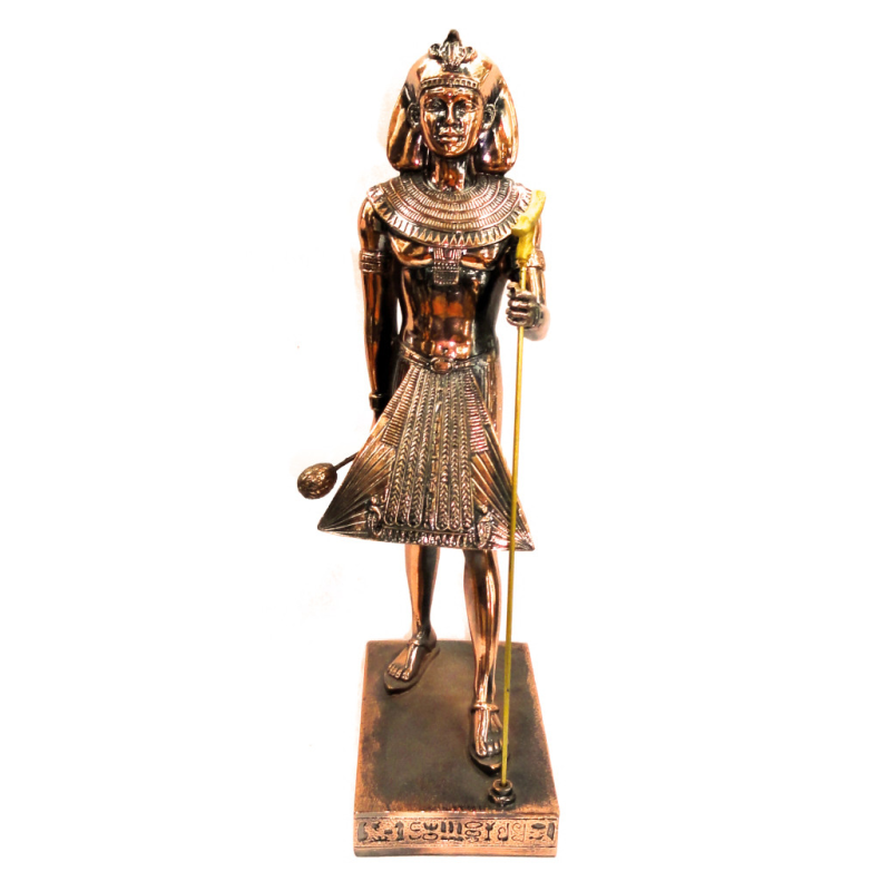 Птах під мідь