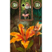 Феї Оракул Ленорман  Fairy Lenormand Oracle.