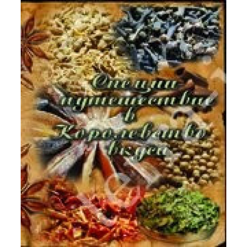 Спеції. Подорож до Королівства смаку Навроцька Т. Спеції. Подорож до Королівства смаку Навроцька Т.