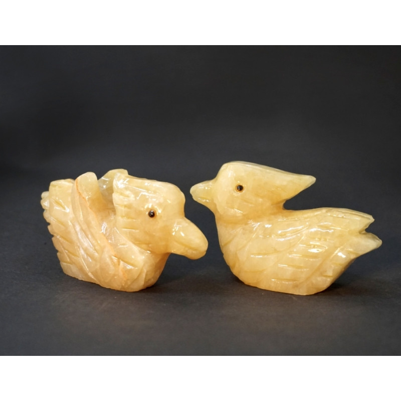 Парочка качок – мандаринок з Онікса