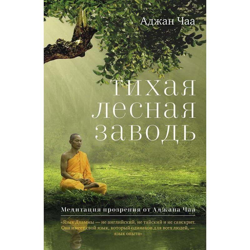 Тиха лісова заводь. Медитація огляду від Аджана Чаам