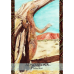 Оракул Прогулянка Аборигенів – Aboriginal Walkabout Oracle Cards. Solarus