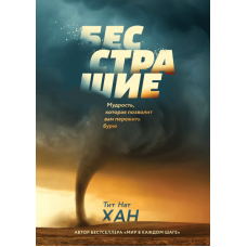 Безстрашність. Мудрість, яка дозволить вам пережити бурю. Титан Нат Хан