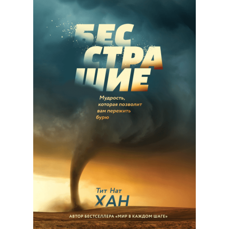 Безстрашність. Мудрість, яка дозволить вам пережити бурю. Титан Нат Хан