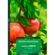 Джатака Сара Санграха. Книга 4. Йоги. Раджеш Гуру