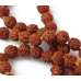 Чітки з Рудракші перев“язані 6мм. 108 намистин