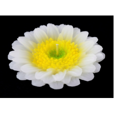 Свічка - квітка Біла хризантема