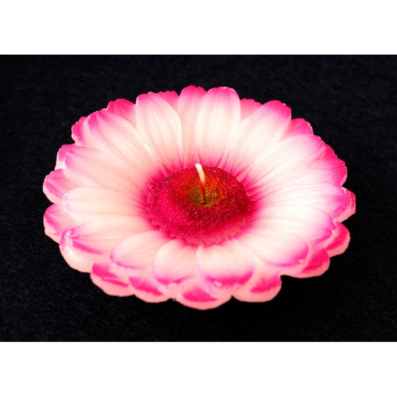 Свічка - квітка Фіолетова хризантема