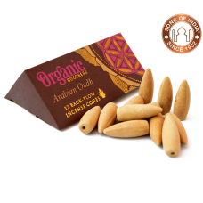 Конусі Backflow Уд