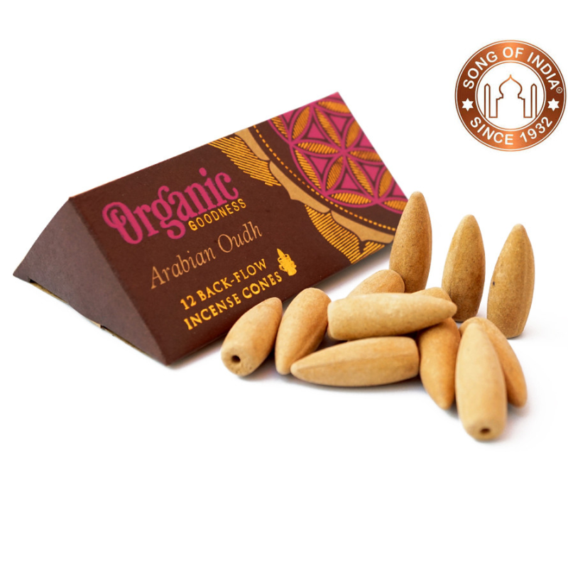 Конусі Backflow Уд