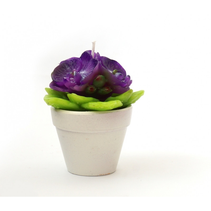 Свічка в керамічному горщику Фіалка фіолетова