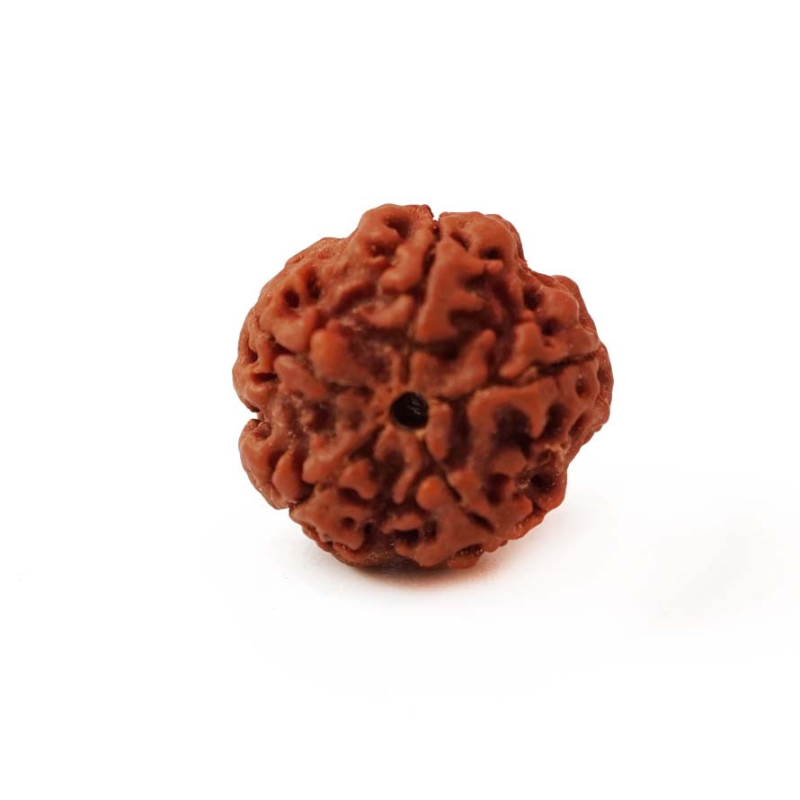 Бусина Рудракші 5 облич