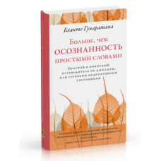 Більше, ніж усвідомленість простими словами Простий і зрозумілий путівник по джханах, або глибоких
