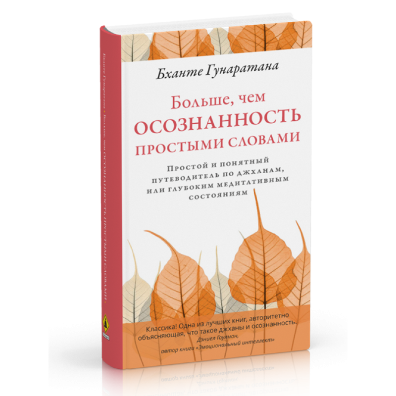 Більше, ніж усвідомленість простими словами Простий і зрозумілий путівник по джханах, або глибоких