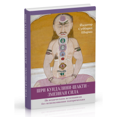 Шрі Кундаліні - шакті - зміїна сила. Ядатор Суббарая Шарма