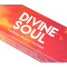 Nandita Devine Soul 15 грам Божественна душа
