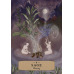 Карти Кишеньковий оракул трав’яної астрології - The Herbal Astrology Pocket Oracle