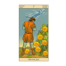 Таро Нью Вижн New vision tarot