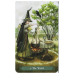 Таро Зеленої Відьми | The Green Witch Tarot, Ann Moura. Llewellyn