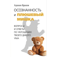 Свідомість і плюшевий ведмедик. Запитання та відповіді щодо приборкання твого дикого розуму. Брахм А.