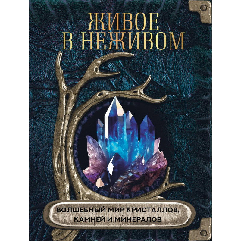 Живе у неживому. Чарівний світ кристалів, каміння та мінералів. Яблукова О.