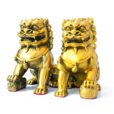 Пара Снігових левів малі