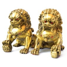 Пара Снігових левів великі