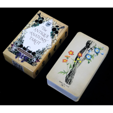 Карти Таро Античної Анатомії (Antique Anatomy Tarot)