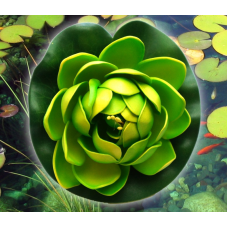 Декоративний Лотос Салатовий малий