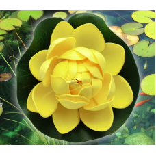 Декоративний Лотос Жовтий малий