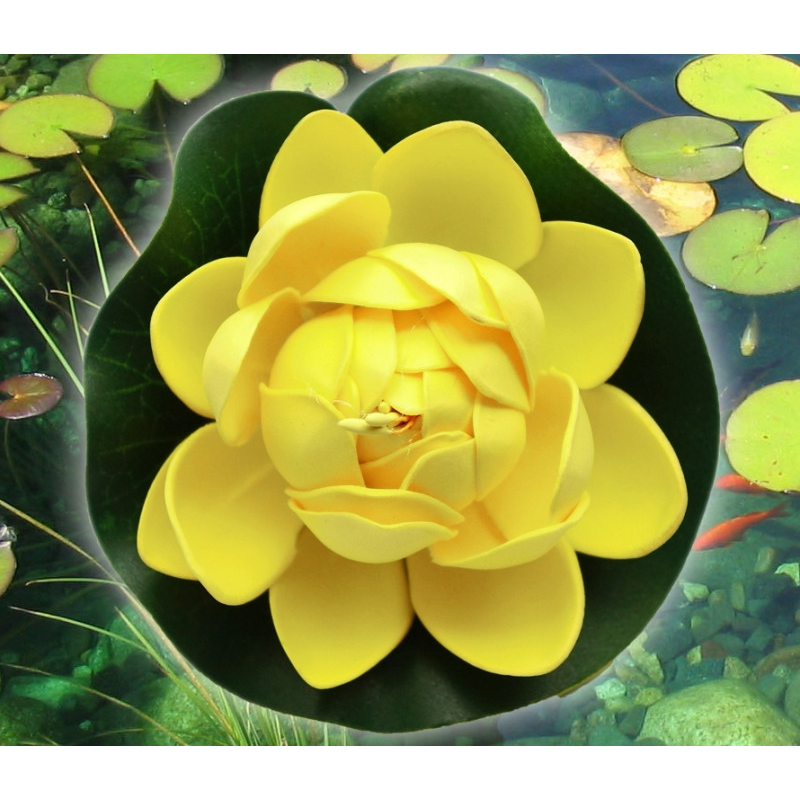 Декоративний Лотос Жовтий малий