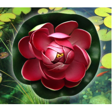 Декоративний Лотос Темно - Бузковий малий