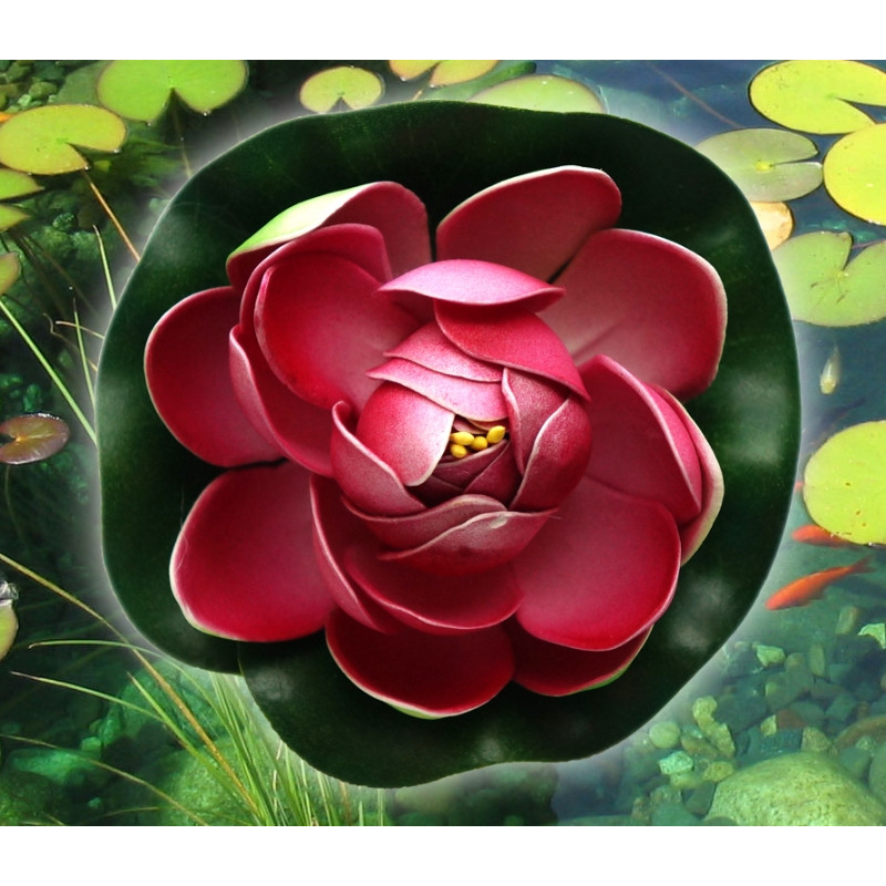 Декоративний Лотос Темно - Бузковий малий