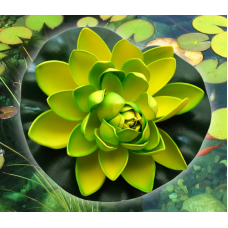 Декоративний Лотос Салатовий середній
