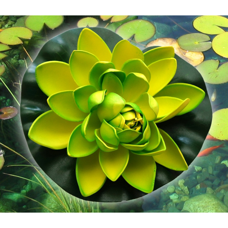 Декоративний Лотос Салатовий середній